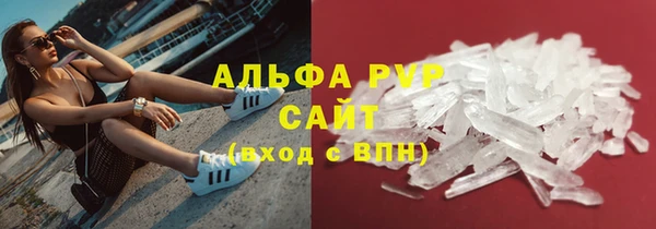 молекула духа Белоозёрский