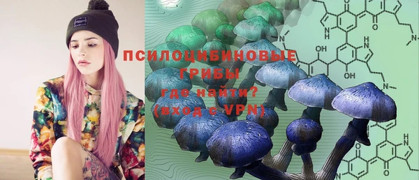 дживик Беломорск