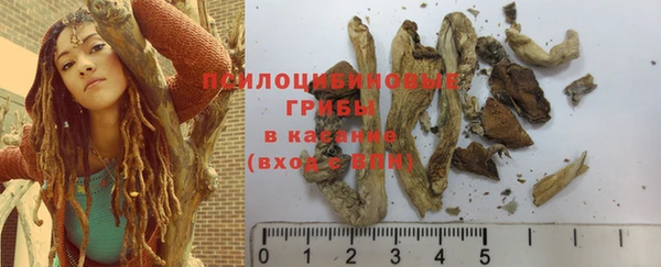молекула духа Белоозёрский