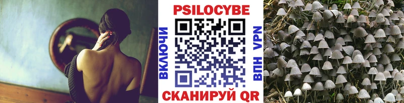 Купить закладки Сергач Псилоцибиновые грибы прущие грибы